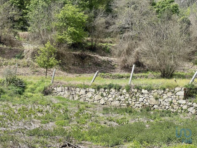 Terreno para Venda em Vouzela e Paços de Vilharigues Foto 14