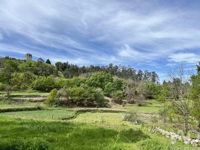Terreno para Venda em Vouzela e Paços de Vilharigues Foto 16