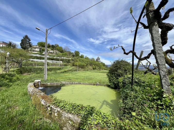 Terreno para Venda em Vouzela e Paços de Vilharigues Foto 4