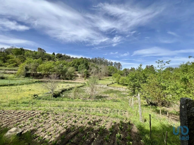 Terreno para Venda em Vouzela e Paços de Vilharigues Foto 9