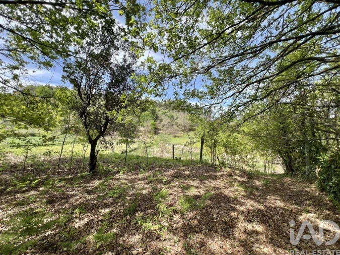 Terreno para Venda em Vouzela e Paços de Vilharigues Foto 20