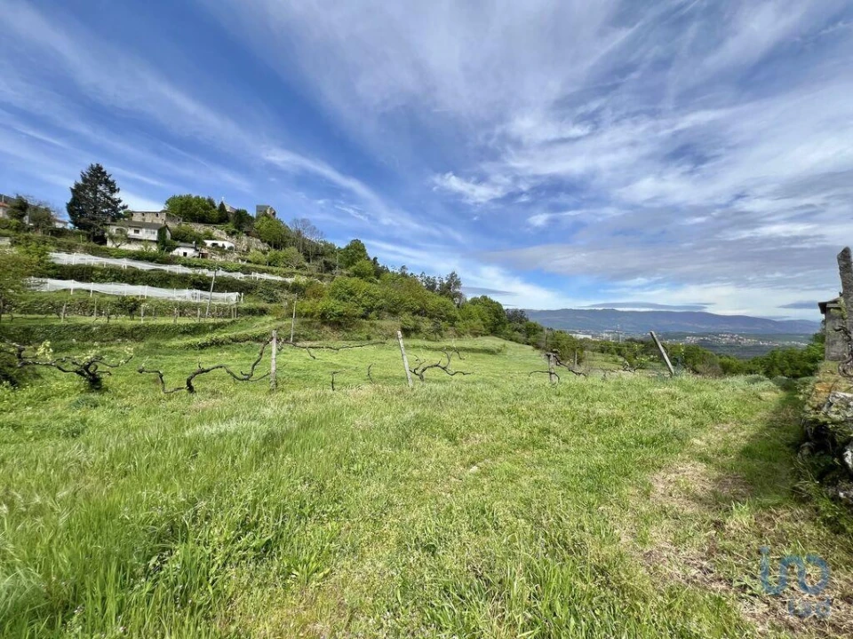 Terreno para Venda em Vouzela e Paços de Vilharigues Foto 5