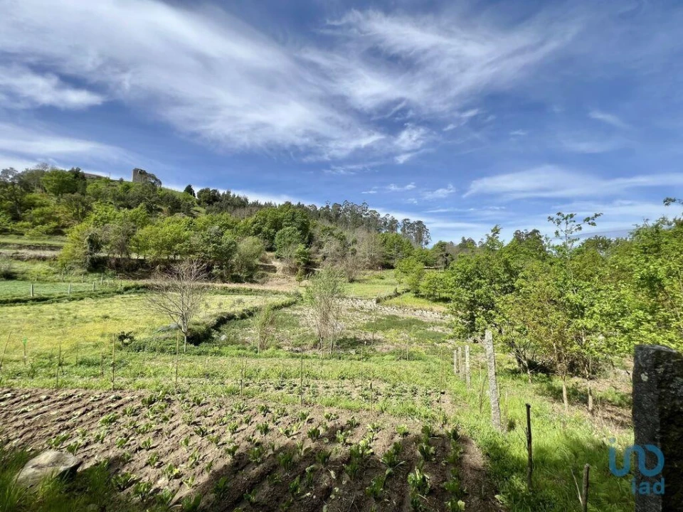 Terreno para Venda em Vouzela e Paços de Vilharigues Foto 9