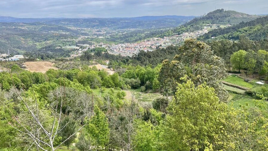 Terreno para Venda em Vouzela e Paços de Vilharigues
