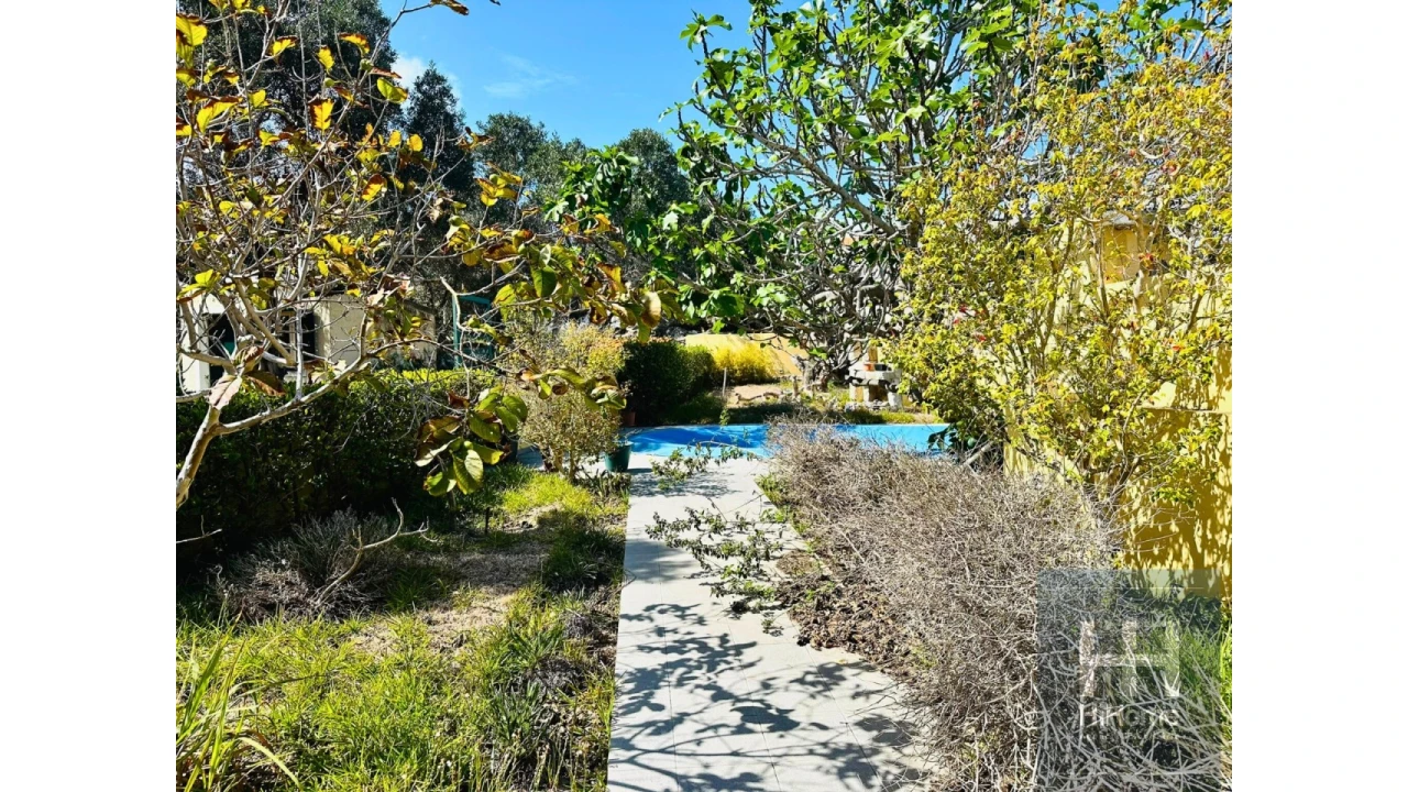 Prédio para Venda em Porto Santo Foto 21