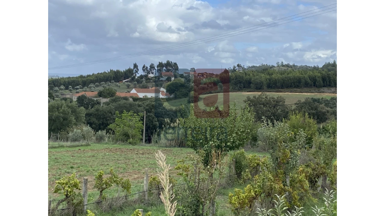 Quinta para Venda em Marvila, Ribeira Santarém, São Salvador, São Nicolau Foto 2