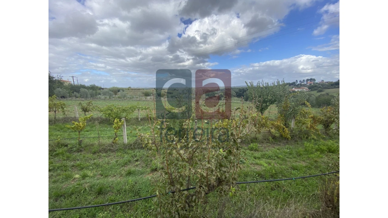 Quinta para Venda em Marvila, Ribeira Santarém, São Salvador, São Nicolau Foto 4