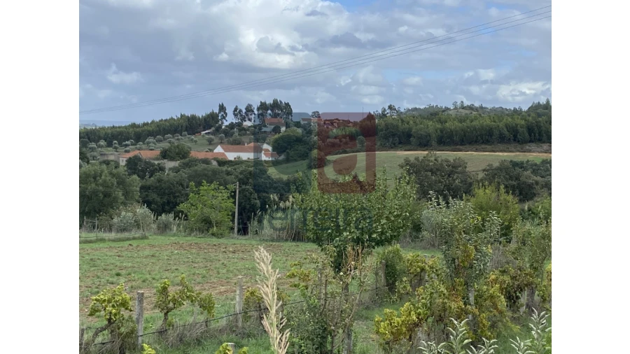 Quinta para Venda em Marvila, Ribeira Santarém, São Salvador, São Nicolau Foto 2