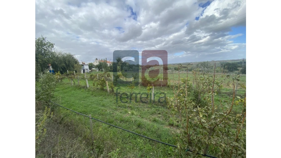 Quinta para Venda em Marvila, Ribeira Santarém, São Salvador, São Nicolau Foto 3