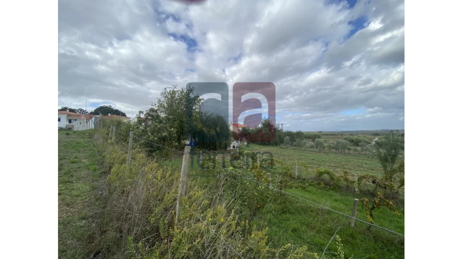Quinta para Venda em Marvila, Ribeira Santarém, São Salvador, São Nicolau Foto 5