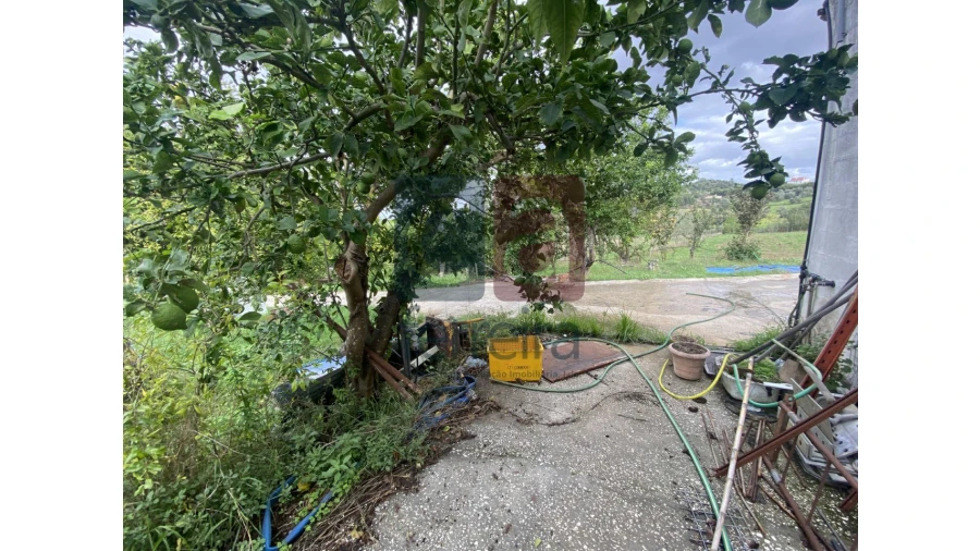 Quinta para Venda em Marvila, Ribeira Santarém, São Salvador, São Nicolau Foto 13