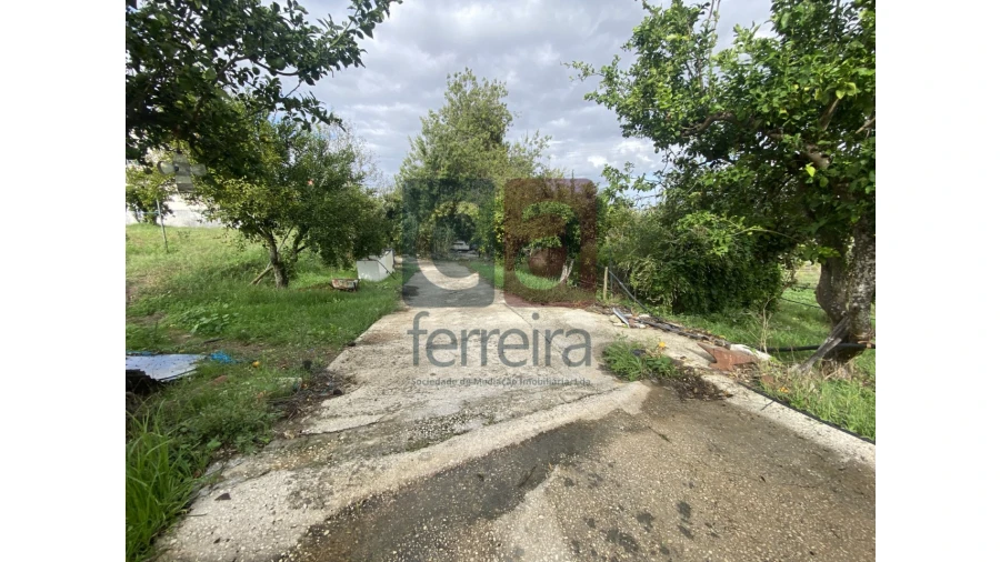 Quinta para Venda em Marvila, Ribeira Santarém, São Salvador, São Nicolau Foto 20