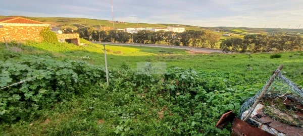 Terreno para Venda em Vila do Bispo e Raposeira