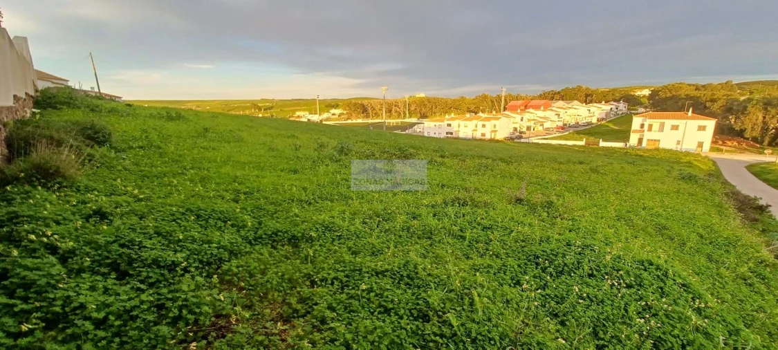 Terreno para Venda em Vila do Bispo e Raposeira Foto 2