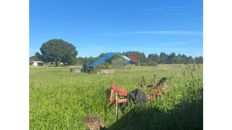 Quinta para Venda em Coruche, Fajarda e Erra Foto 13