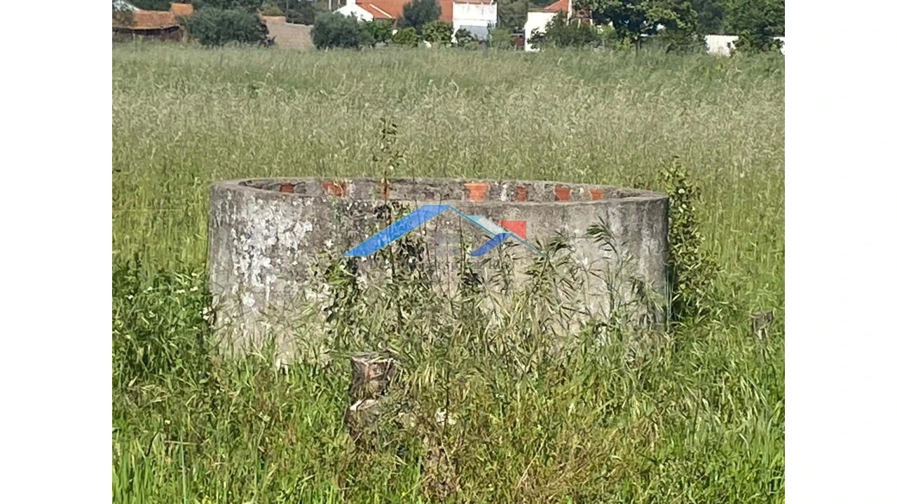 Quinta para Venda em Coruche, Fajarda e Erra Foto 12