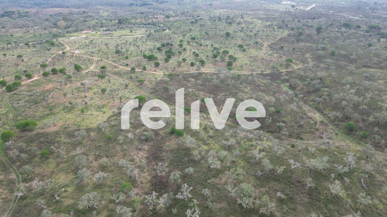 Quinta T1 para Venda em São Francisco da Serra Foto 30