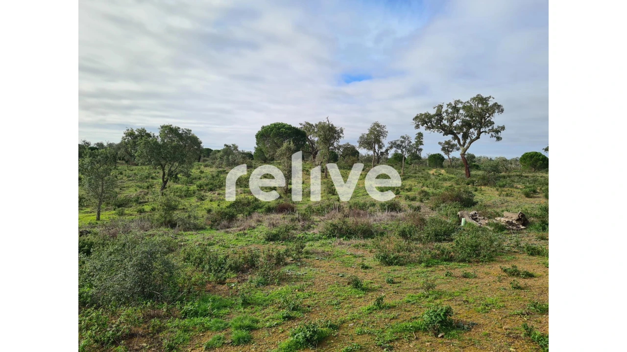 Quinta T1 para Venda em São Francisco da Serra Foto 12