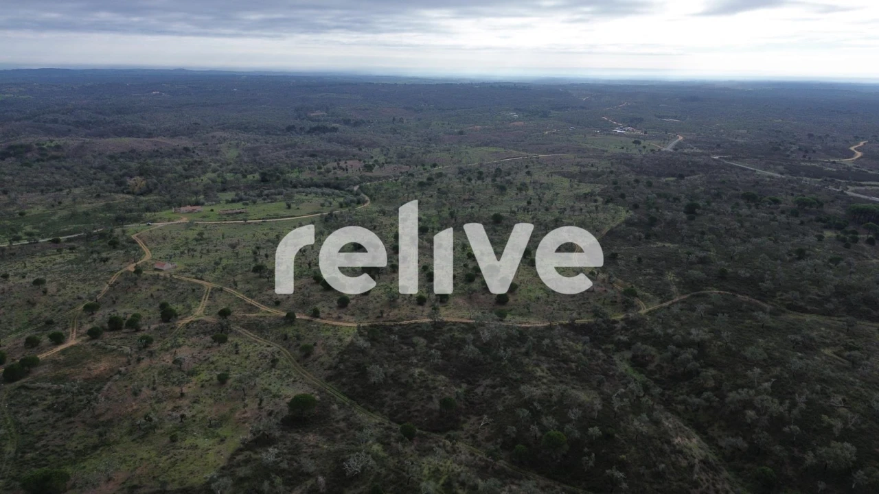 Quinta T1 para Venda em São Francisco da Serra Foto 25