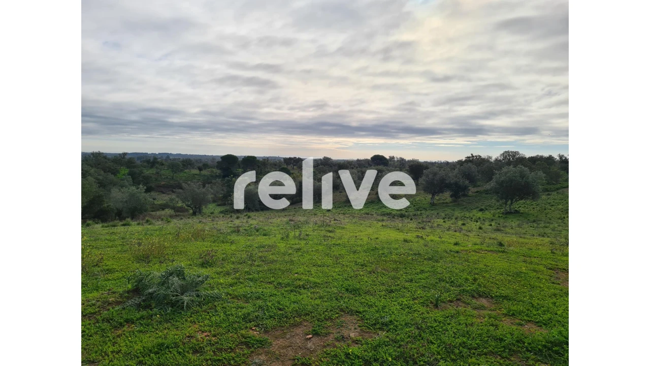 Quinta T1 para Venda em São Francisco da Serra Foto 4