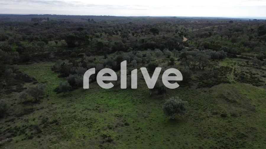 Quinta T1 para Venda em São Francisco da Serra Foto 23