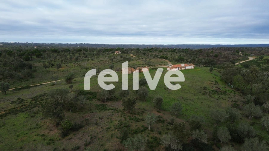 Quinta T1 para Venda em São Francisco da Serra Foto 24