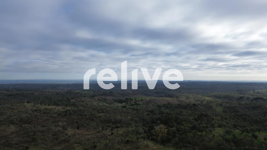 Quinta T1 para Venda em São Francisco da Serra Foto 19