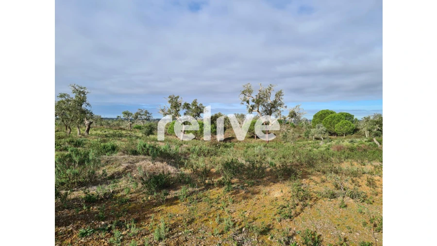 Quinta T1 para Venda em São Francisco da Serra Foto 14