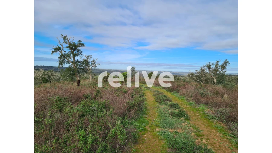 Quinta T1 para Venda em São Francisco da Serra Foto 18