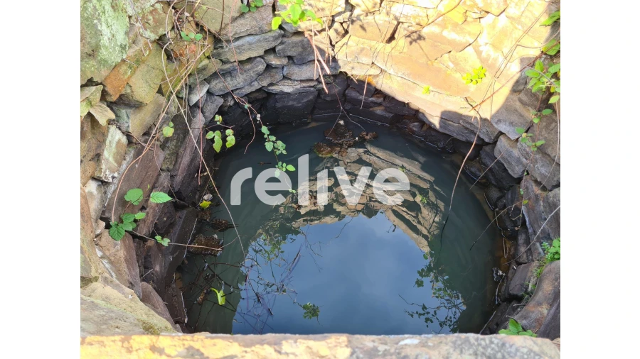 Quinta T1 para Venda em São Francisco da Serra Foto 20