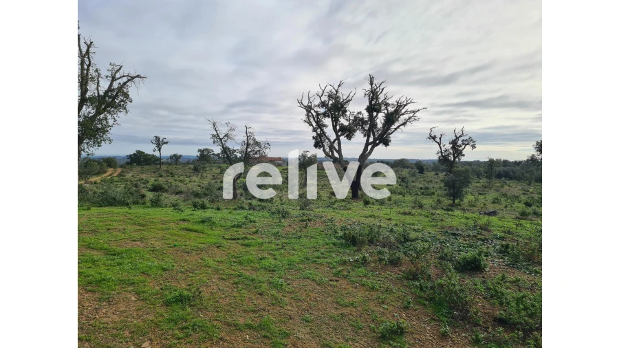Quinta T1 para Venda em São Francisco da Serra Foto 10