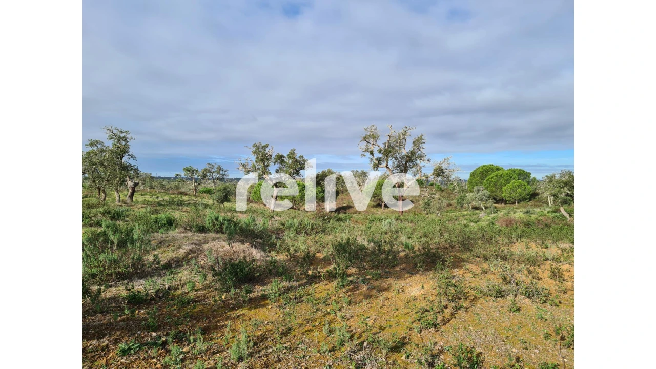 Quinta T1 para Venda em São Francisco da Serra Foto 14