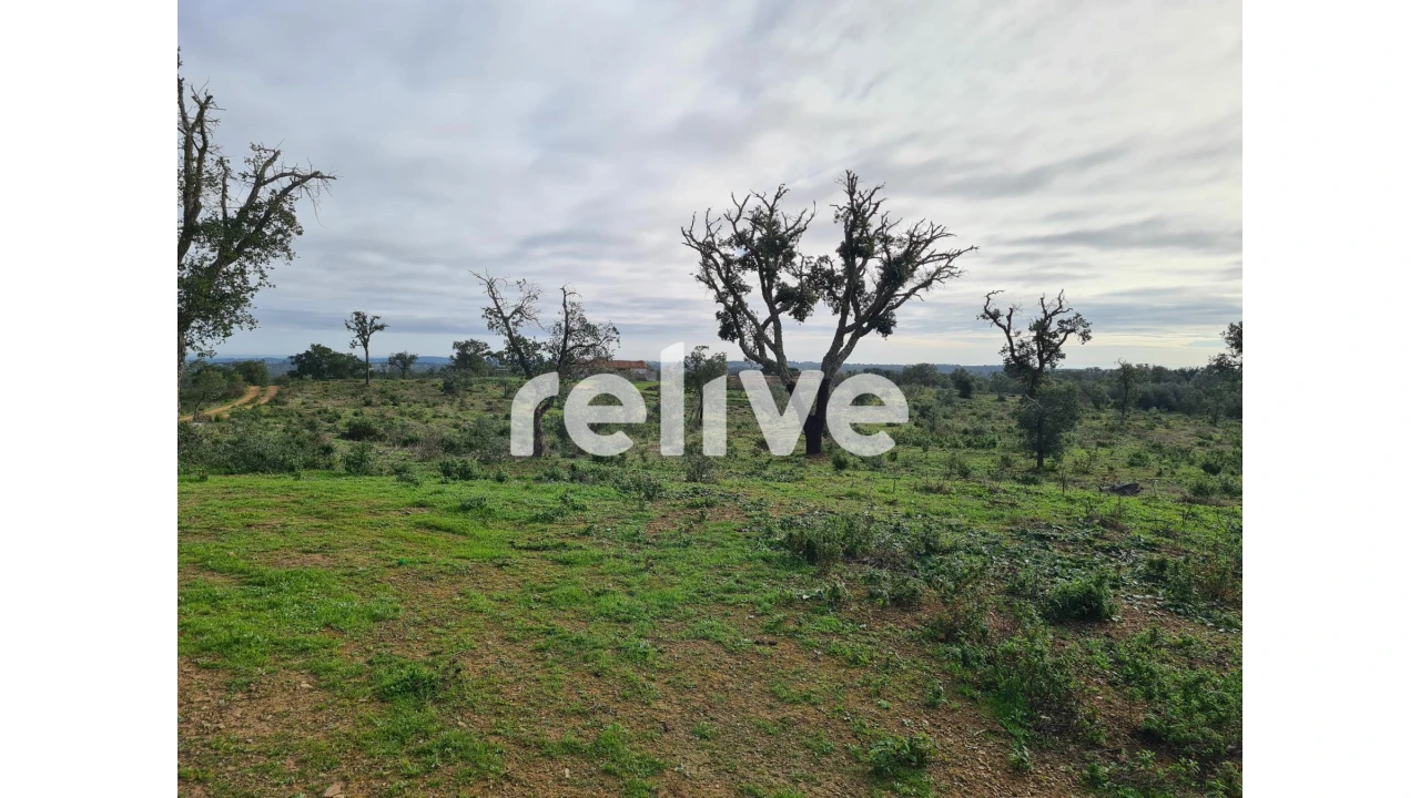 Quinta T1 para Venda em São Francisco da Serra Foto 10