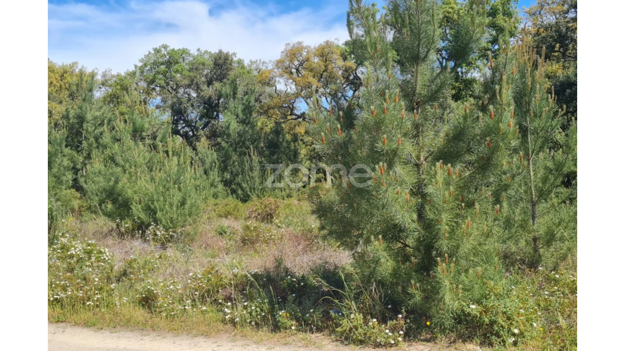 Terreno para Venda em Palmela Foto 5
