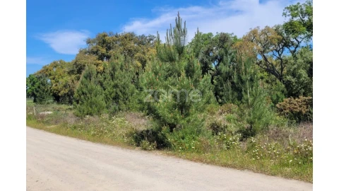 Terreno para Venda em Palmela