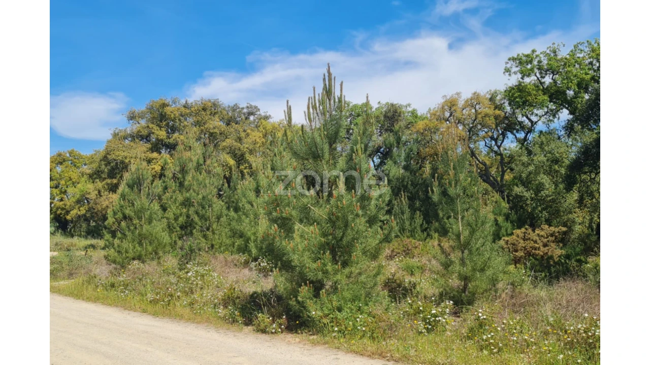 Terreno para Venda em Palmela Foto 4