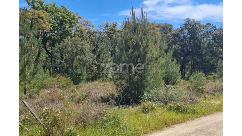 Terreno para Venda em Palmela