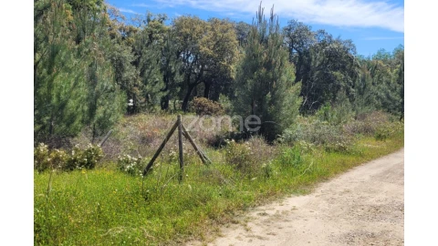 Terreno para Venda em Palmela