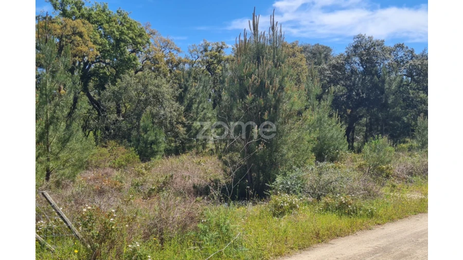 Terreno para Venda em Palmela