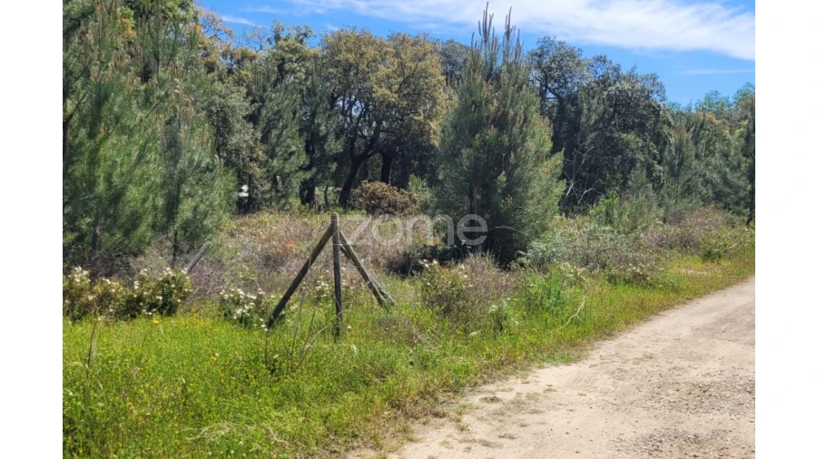 Terreno para Venda em Palmela Foto 7