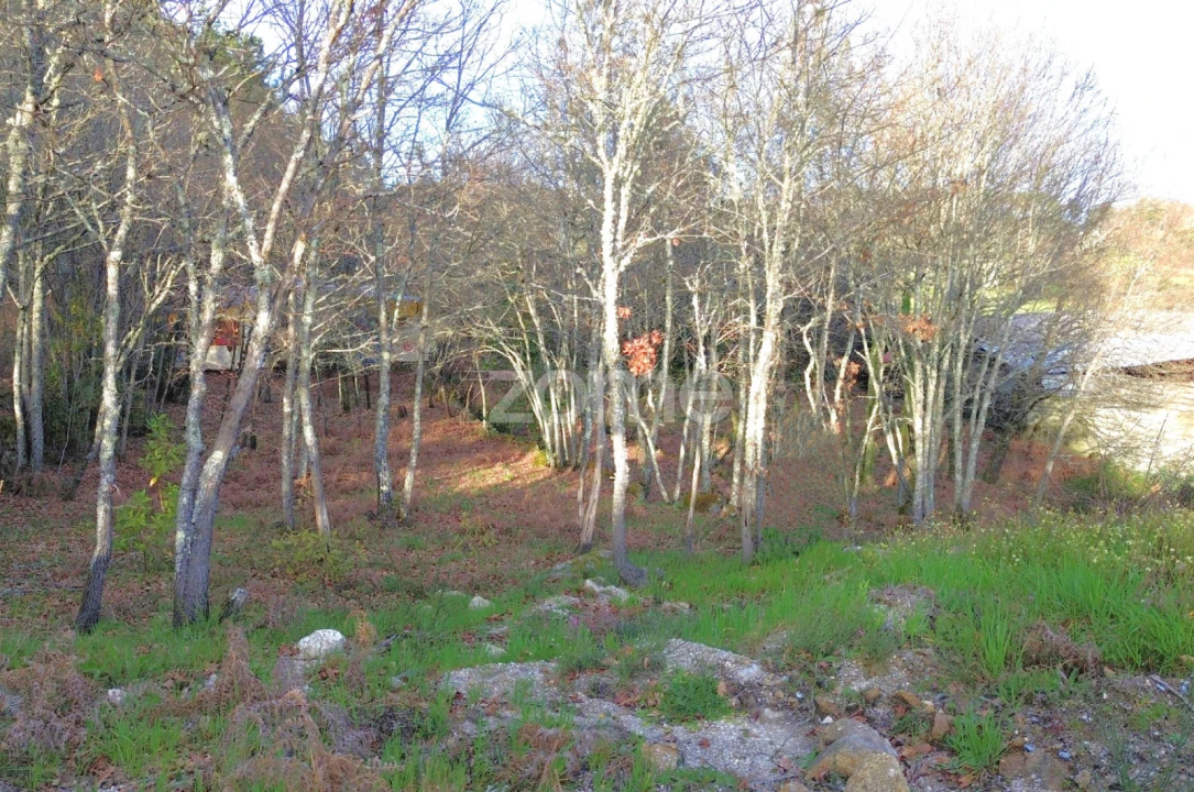 Terreno para Venda em Calde Foto 7