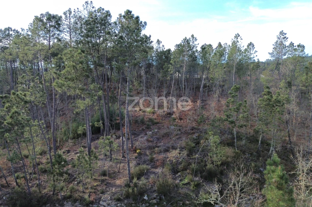 Terreno para Venda em Calde Foto 2