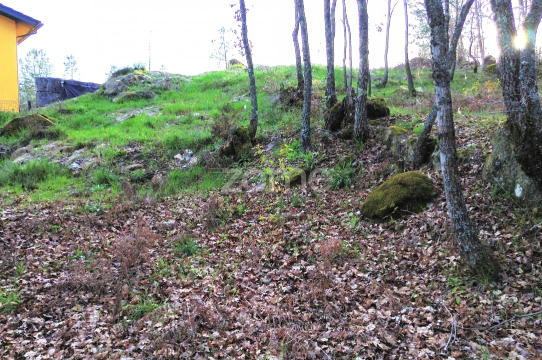 Terreno para Venda em Calde Foto 6