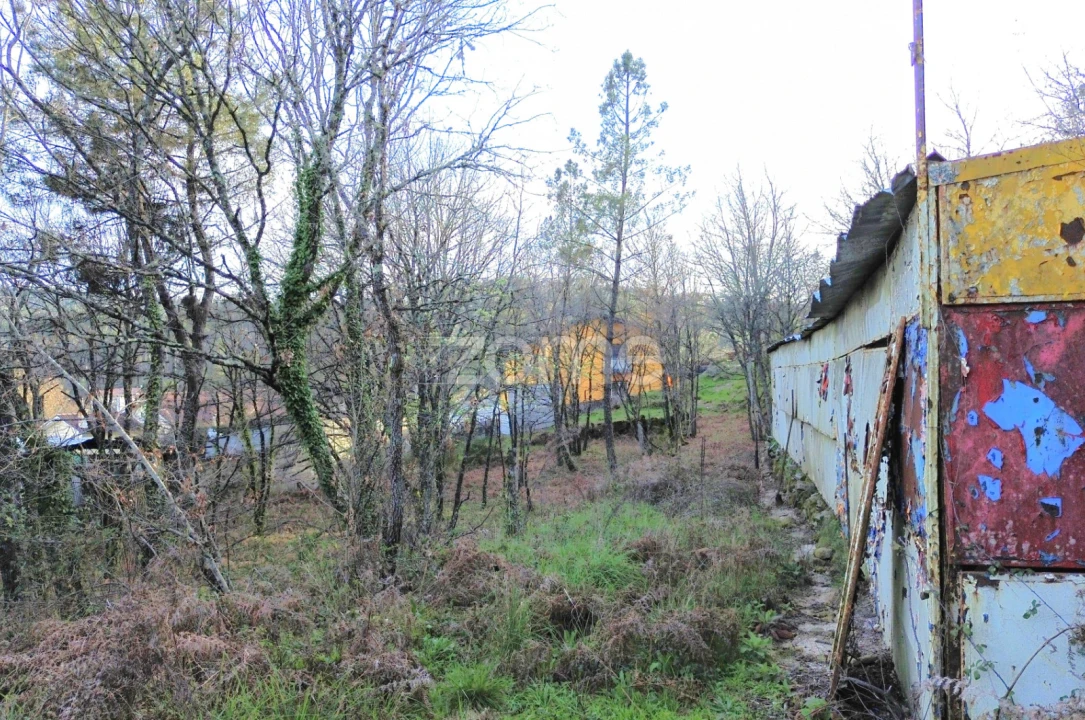 Terreno para Venda em Calde Foto 12