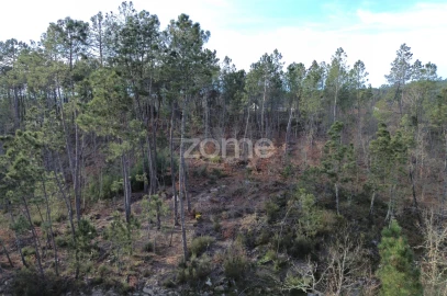 Terreno para Venda em Calde