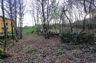 Terreno para Venda em Calde