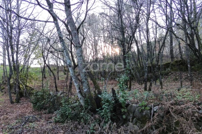 Terreno para Venda em Calde