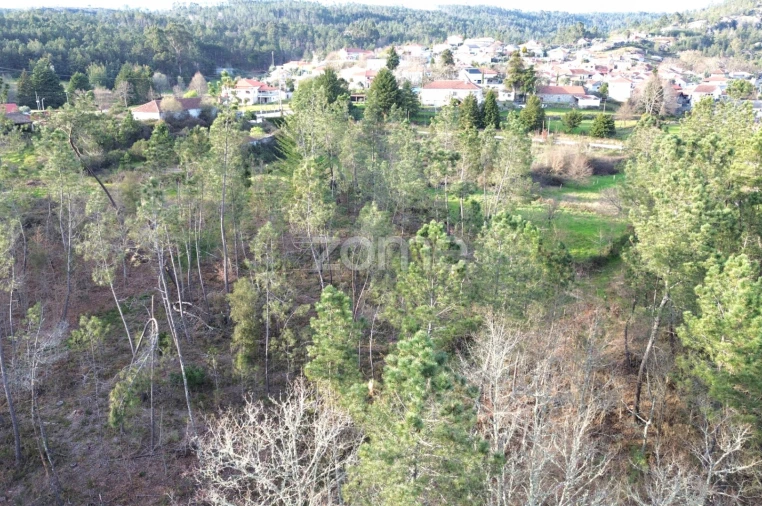 Terreno para Venda em Calde Foto 15