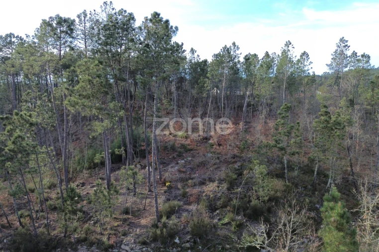 Terreno para Venda em Calde Foto 2
