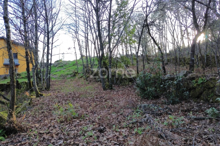 Terreno para Venda em Calde Foto 8